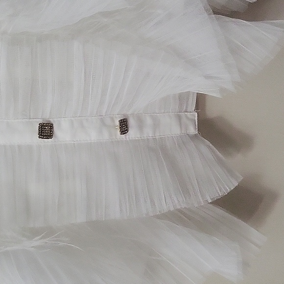 M/2 Ruffled Feathered Sheer Blouse - Picture 6 of 10